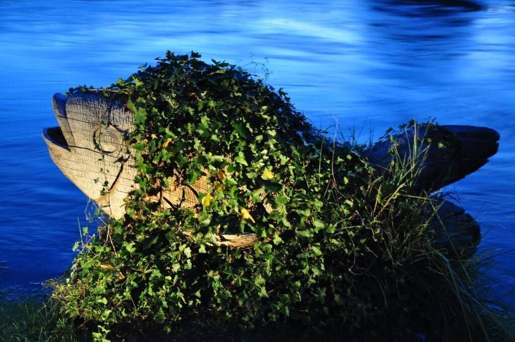 La Finestra Sul Fiume B&B