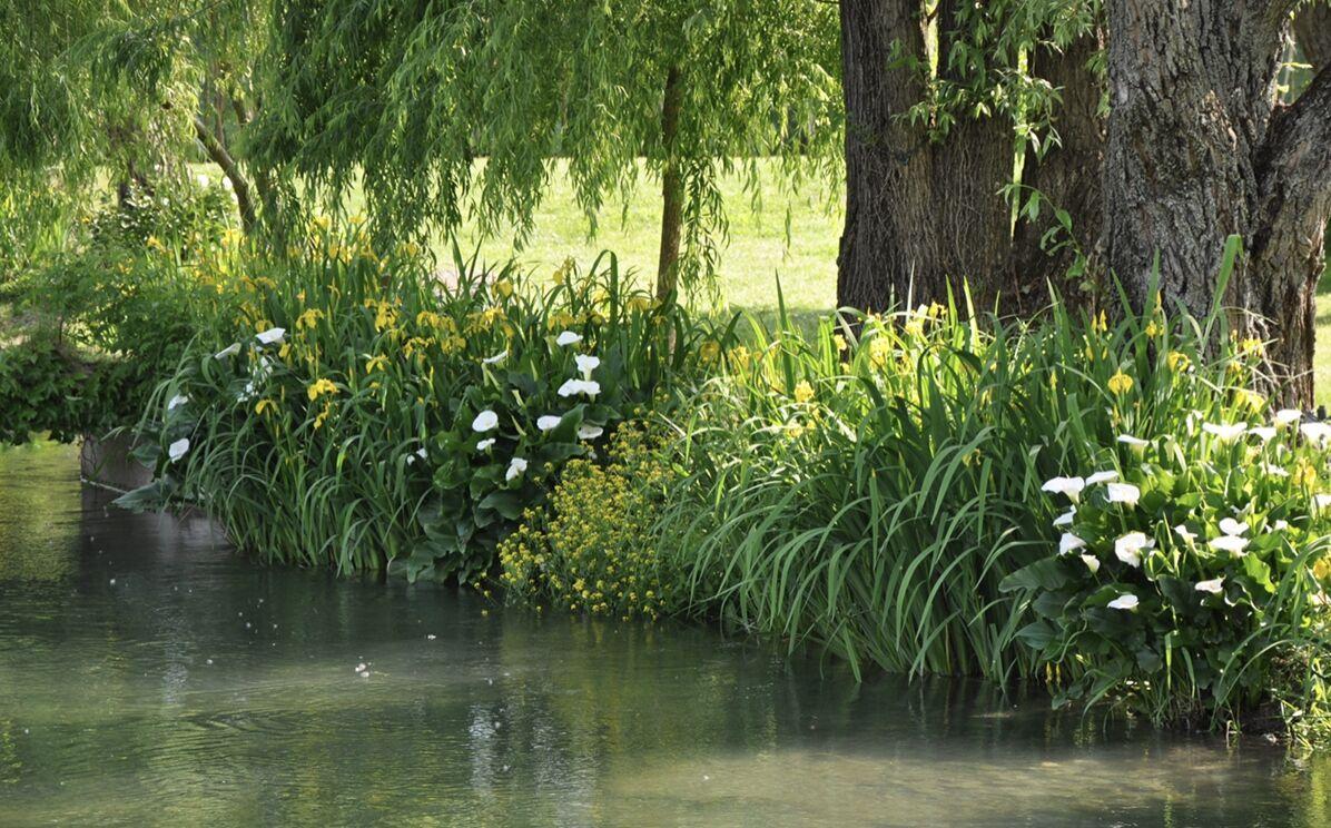 La Finestra Sul Fiume B&B