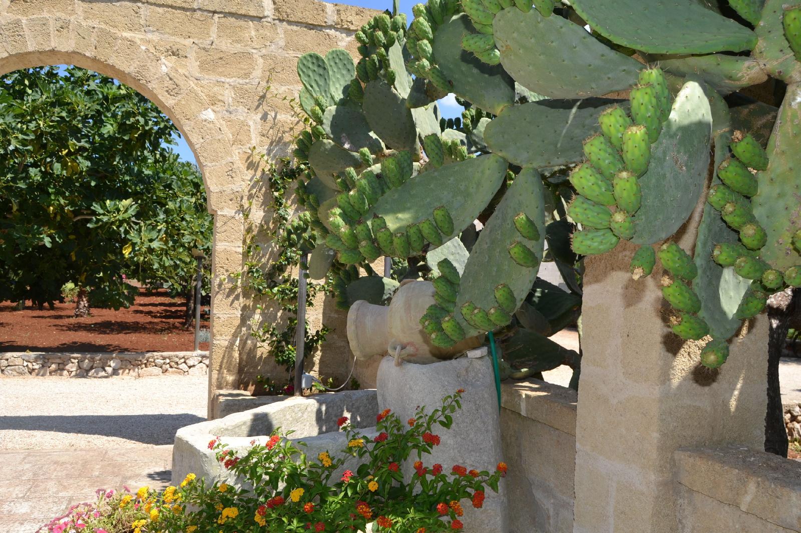 Tenuta Santa Giovanna