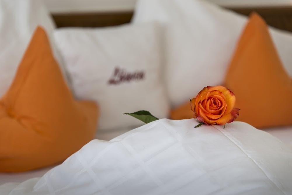 Hotel Löwen