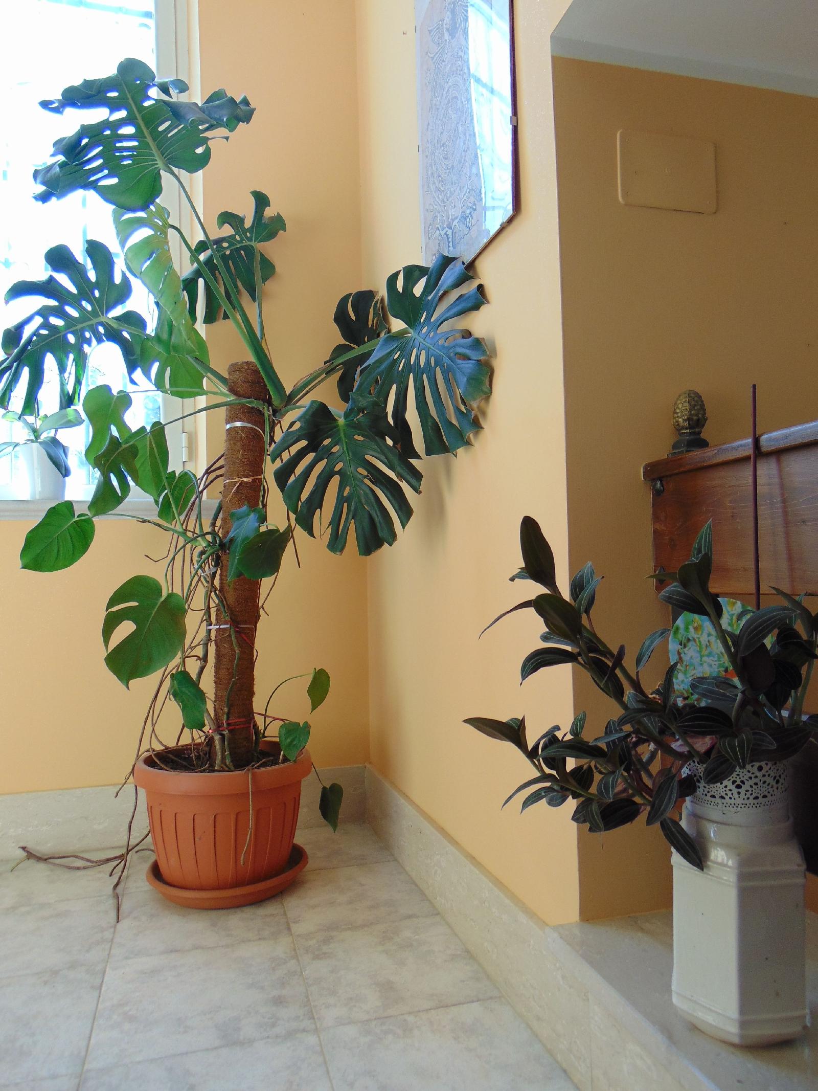 B&B La Mia Casa Per Tutti