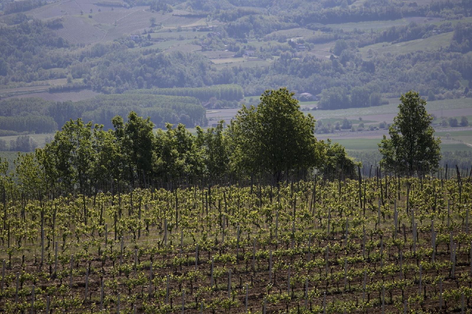 Cascina Marcantonio