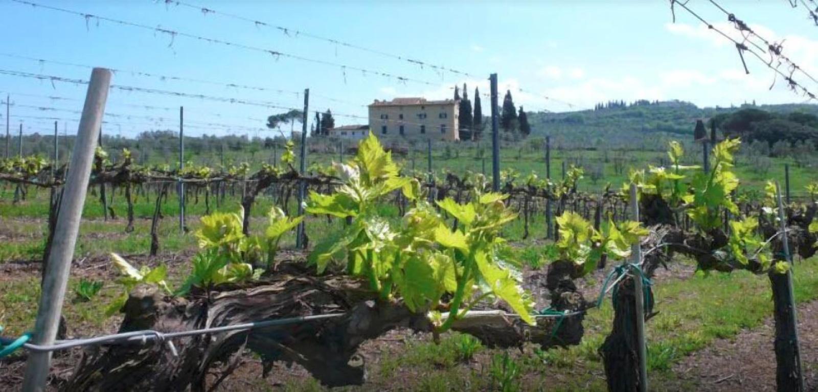 La Capannaccia