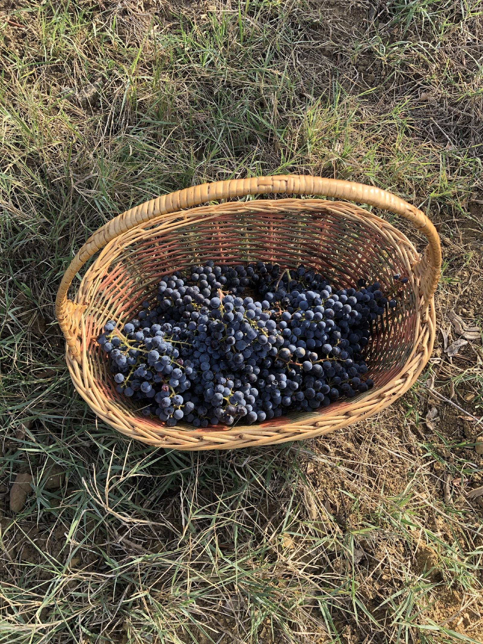 La Capannaccia