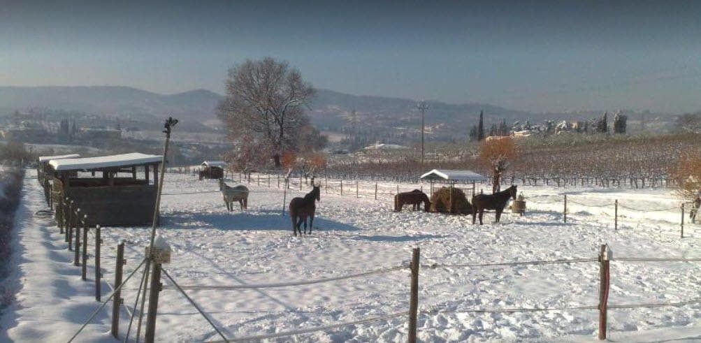 La Capannaccia