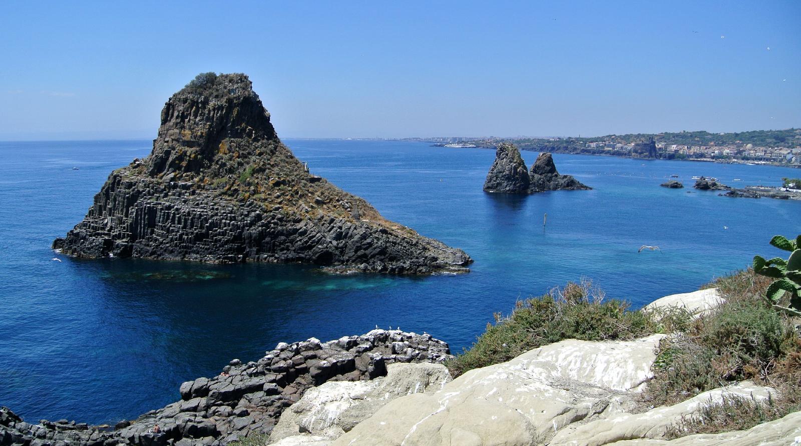 Il Cavalluccio Marino