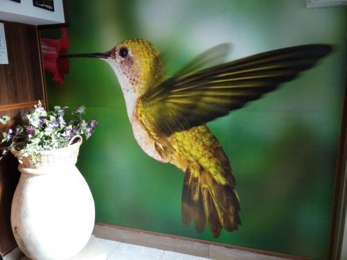 Residence Colibri