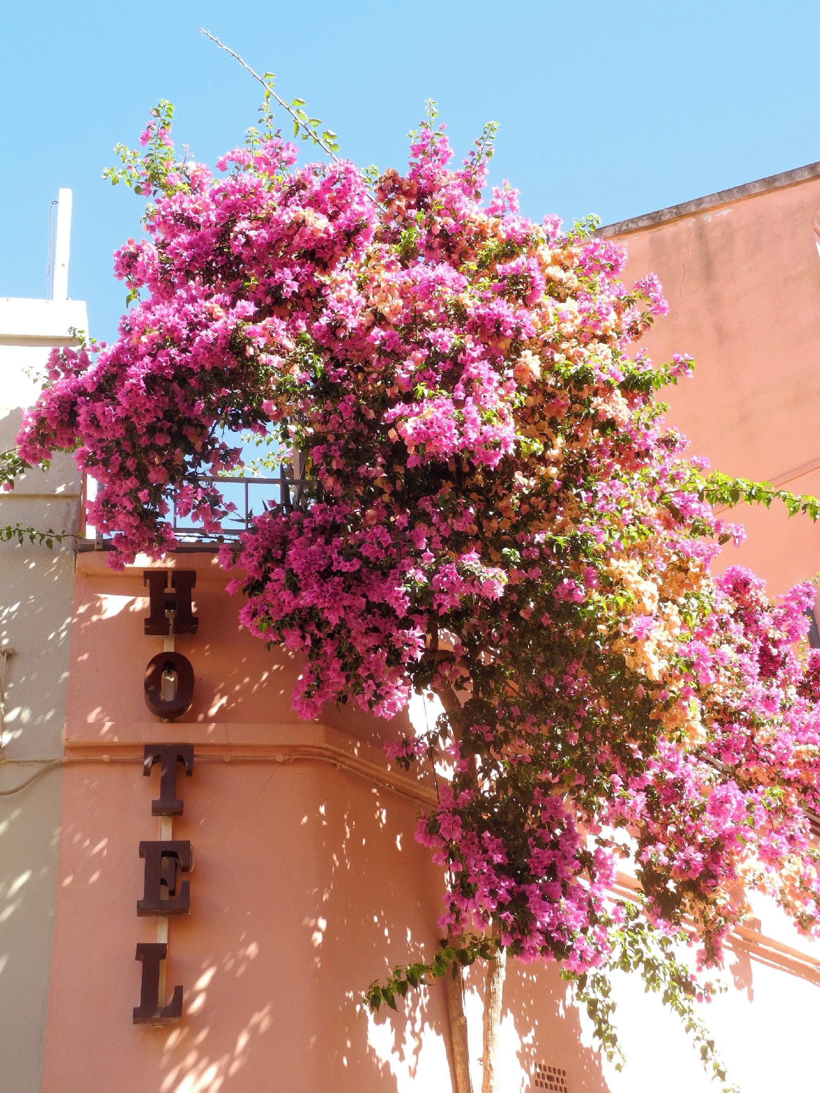 Albergo Italia
