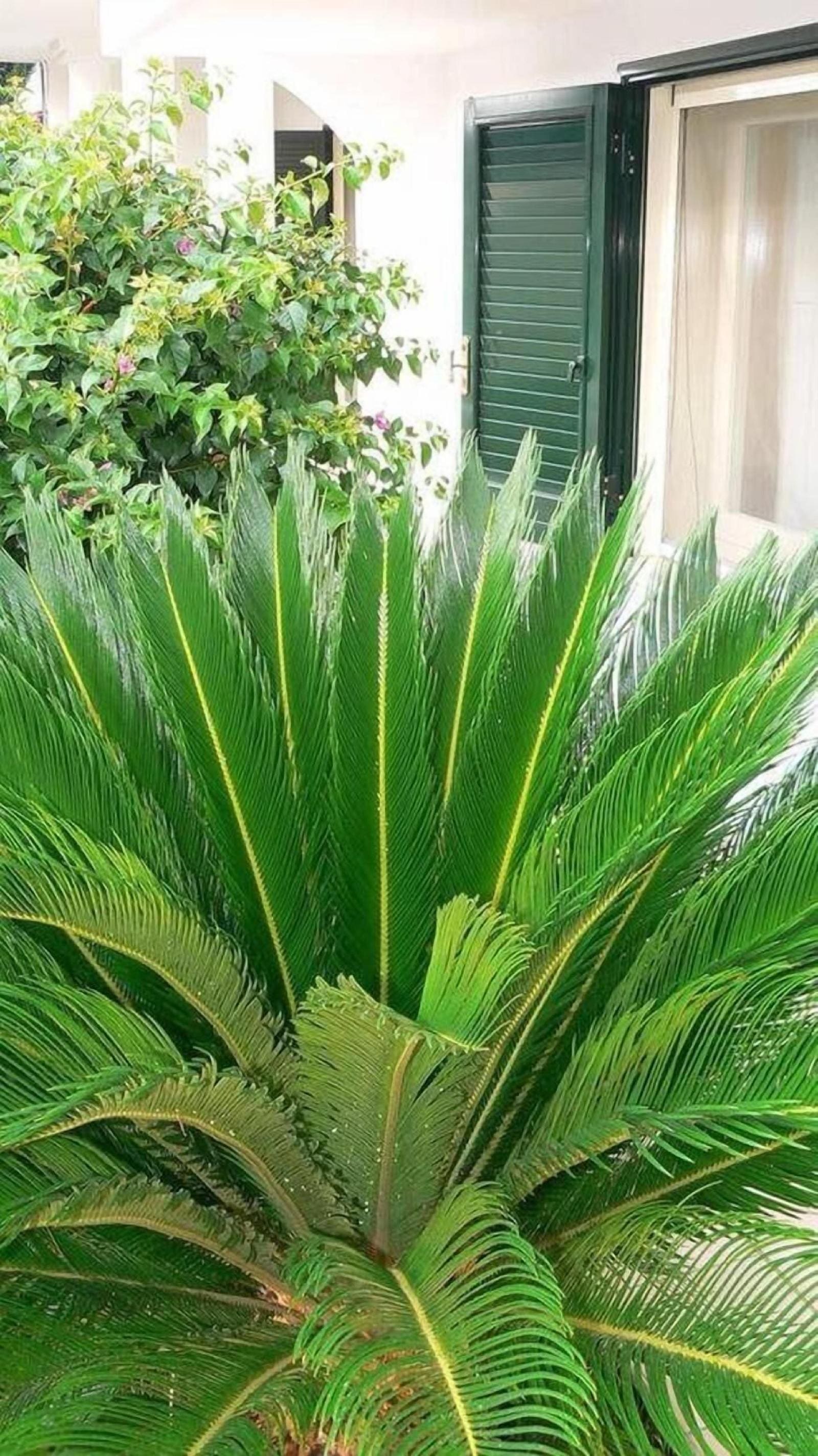 Il Giardino Delle Sete