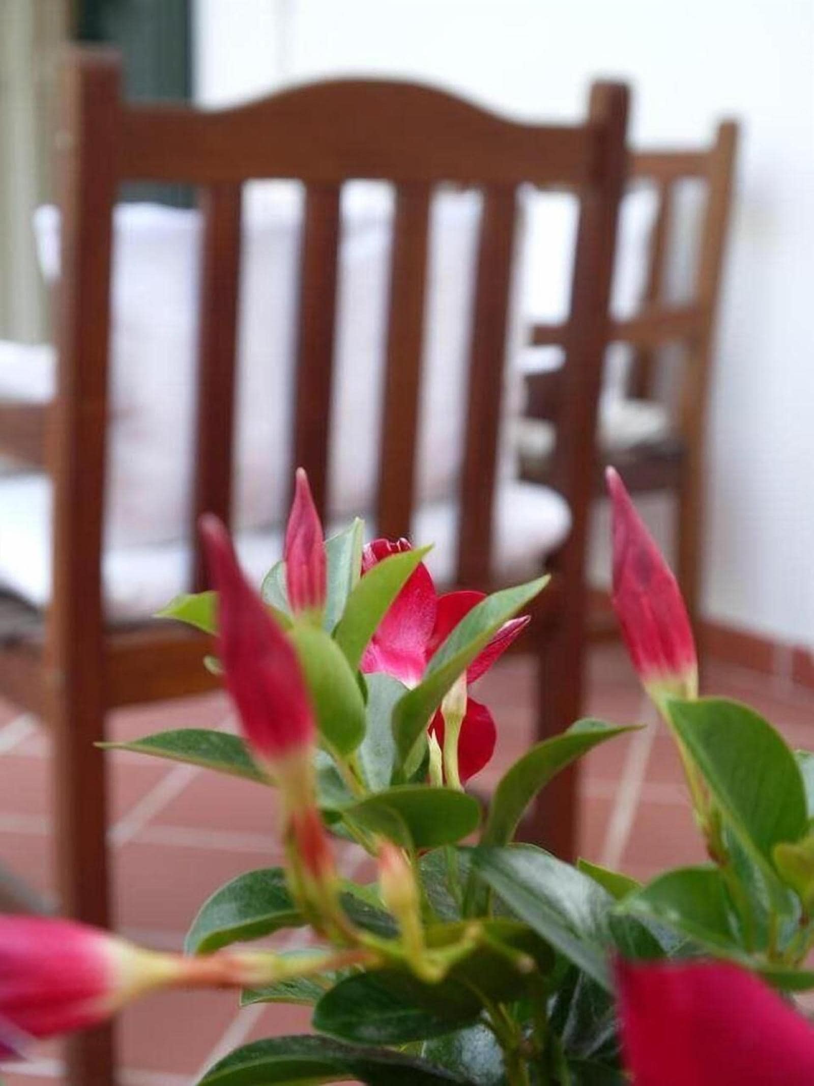 Il Giardino Delle Sete