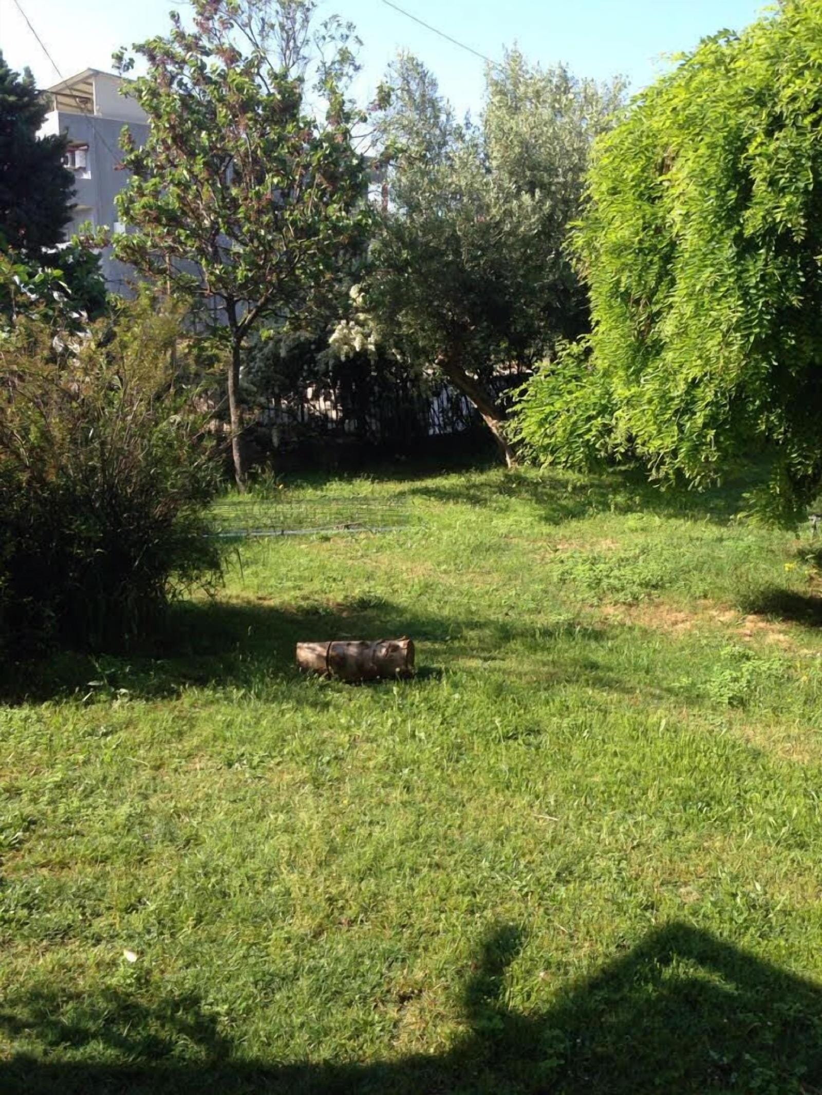 B & B Falcone