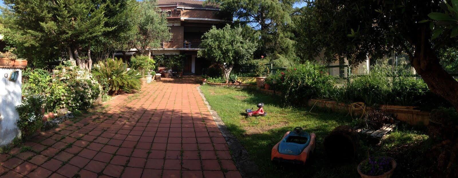 B & B Falcone