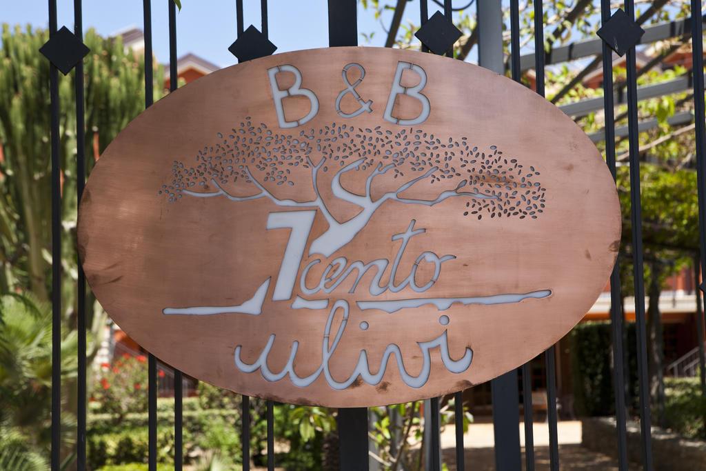 B&B 7Cento Ulivi