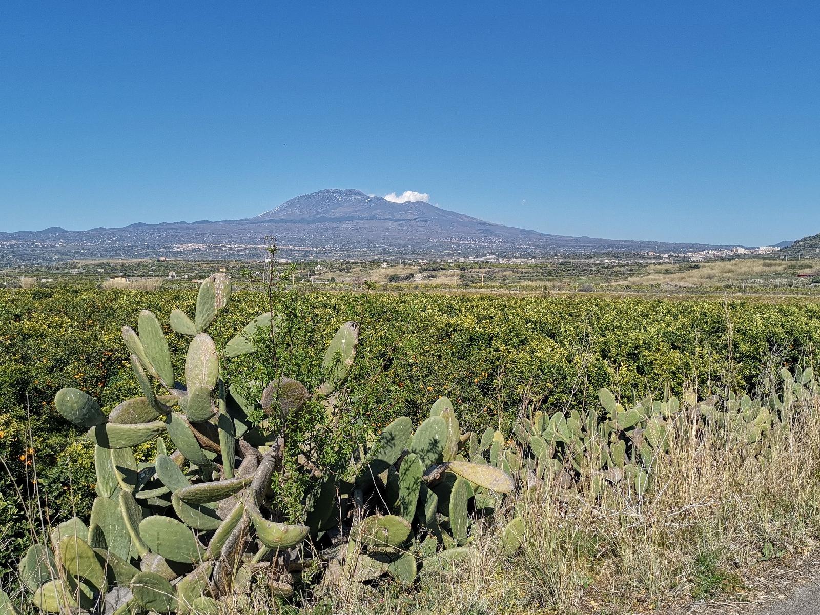 La Fattoria Dei Nonni Resort Dell'Etna