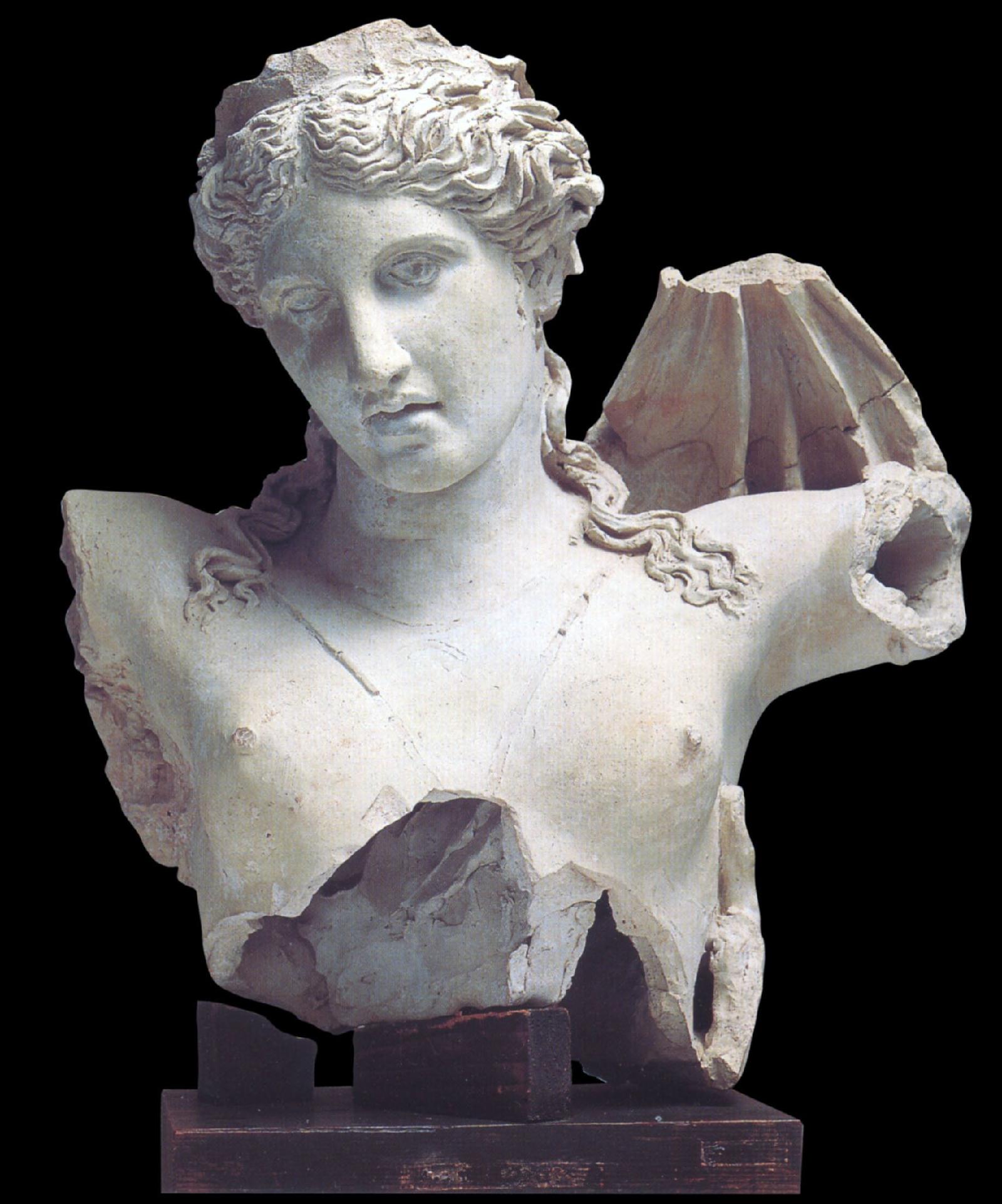 Le foglie di Acanto