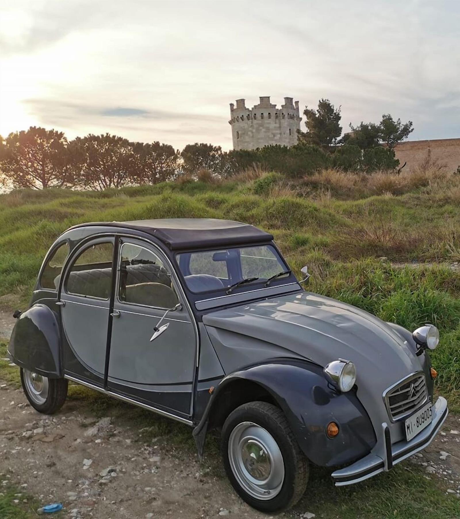 Le foglie di Acanto