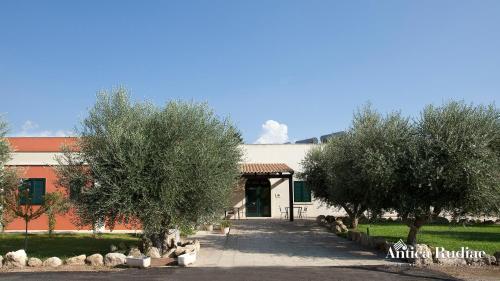 Antica Rudiae