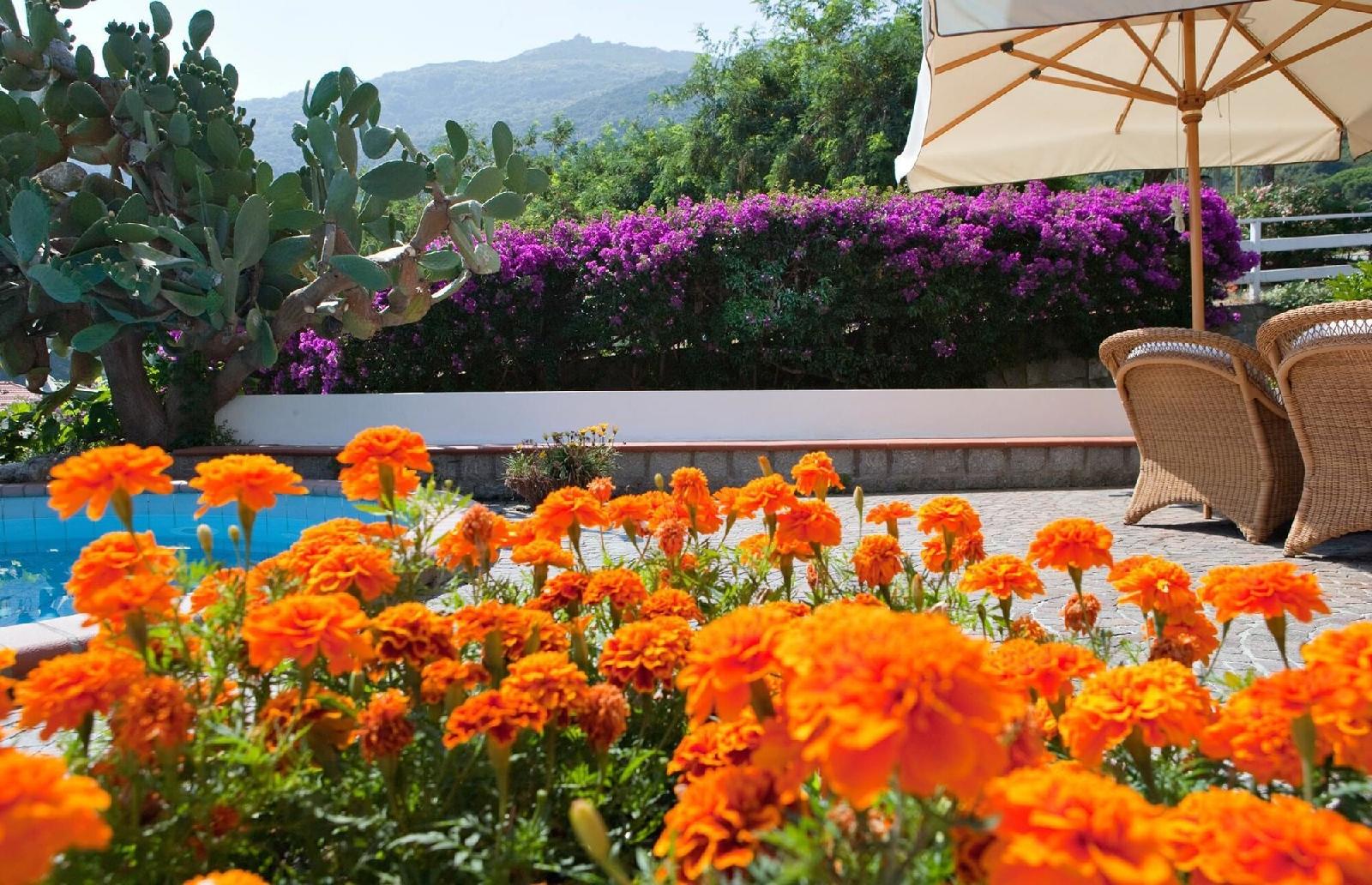 Hotel Gallo Nero