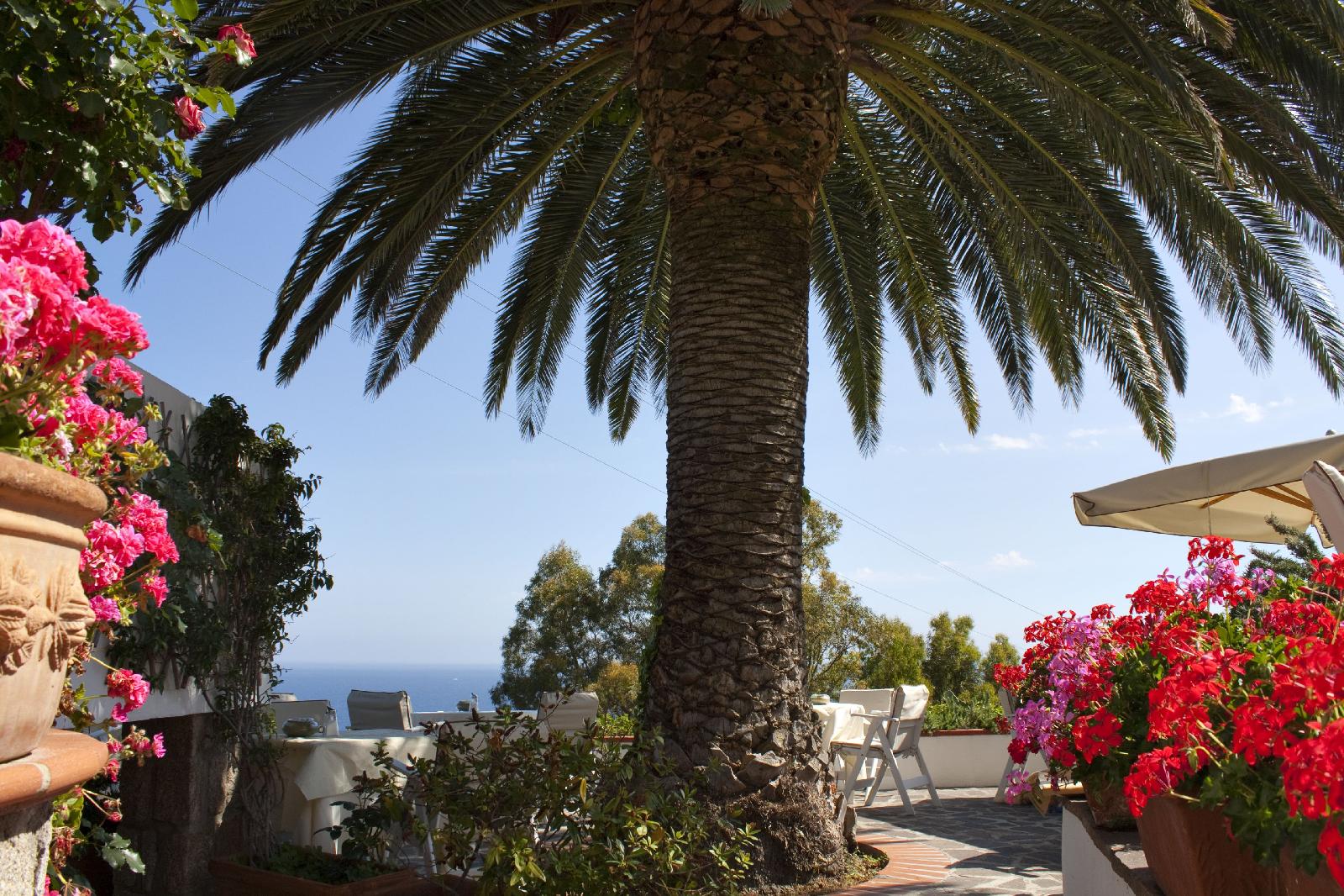 Hotel Gallo Nero