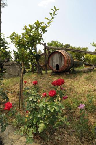 Hotel Ristorante Archimede