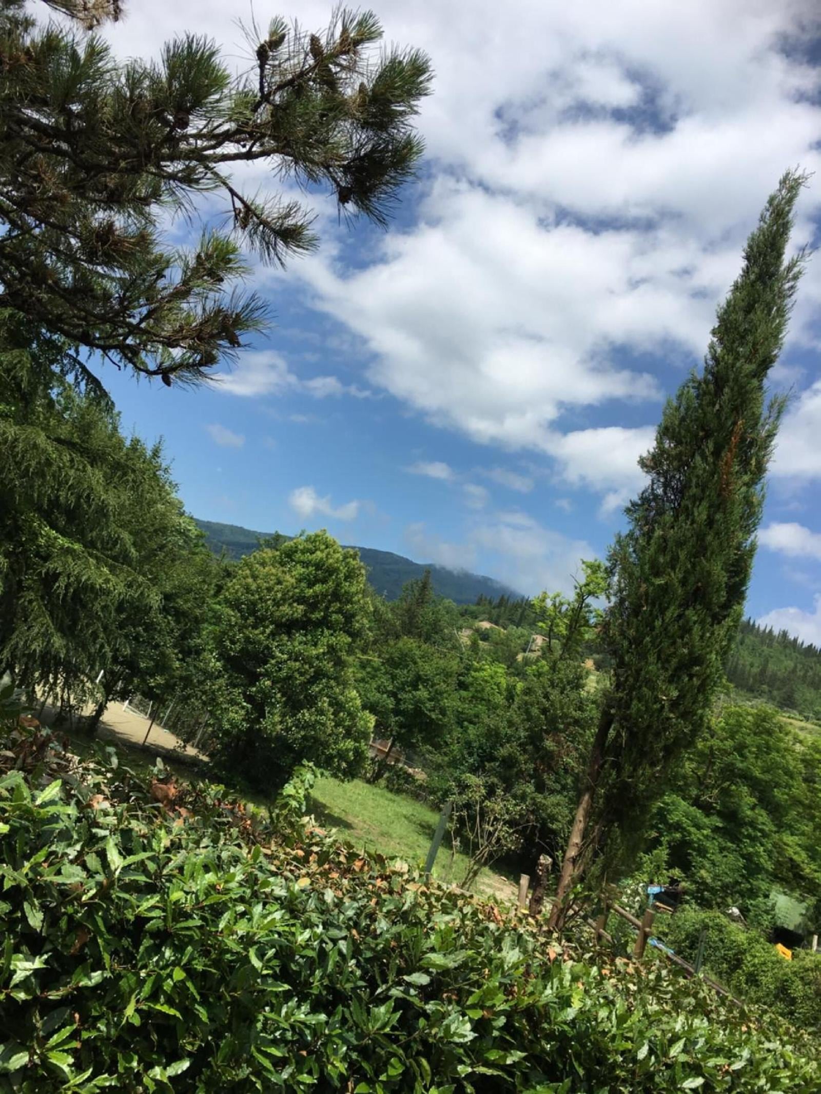 Tenuta Dei Cavalieri