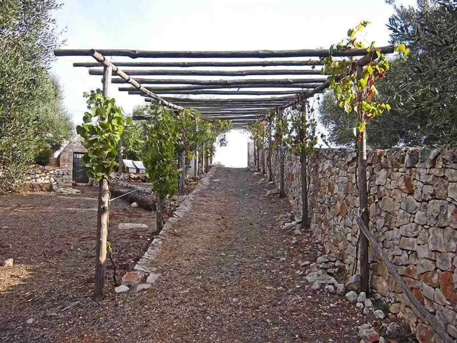 Bed and Breakfast Riposo Del Vento