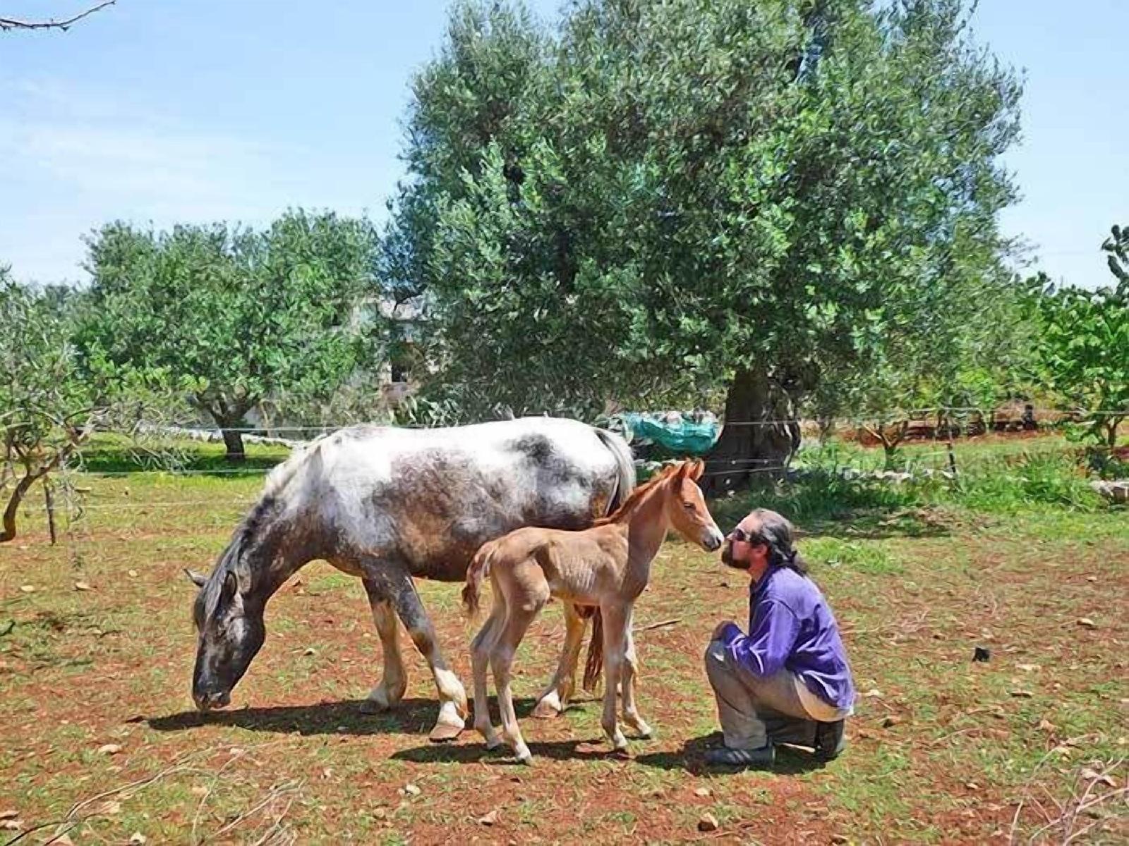 Bed and Breakfast Riposo Del Vento