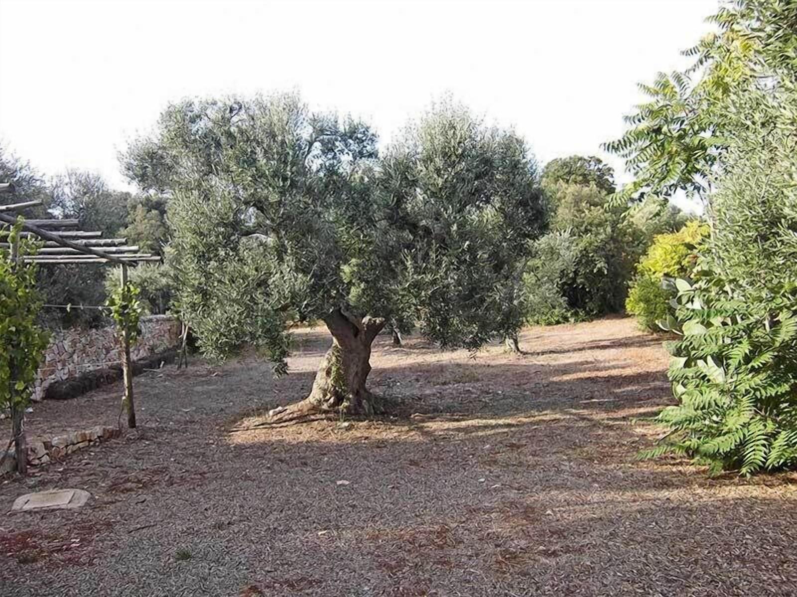 Bed and Breakfast Riposo Del Vento