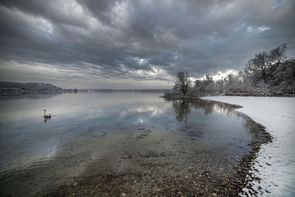 Ritratto Sul Lago