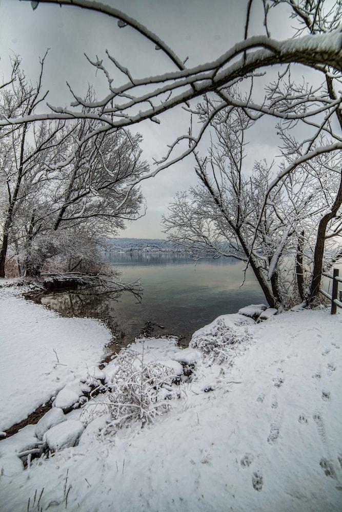 Ritratto Sul Lago