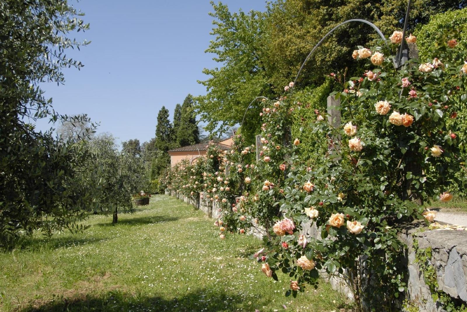 Agriturismo La Chiusa Di Nanni