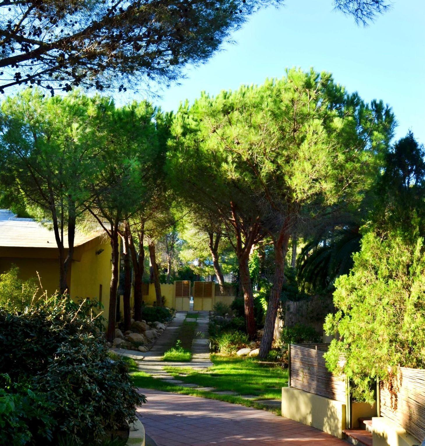 Abbaechelu