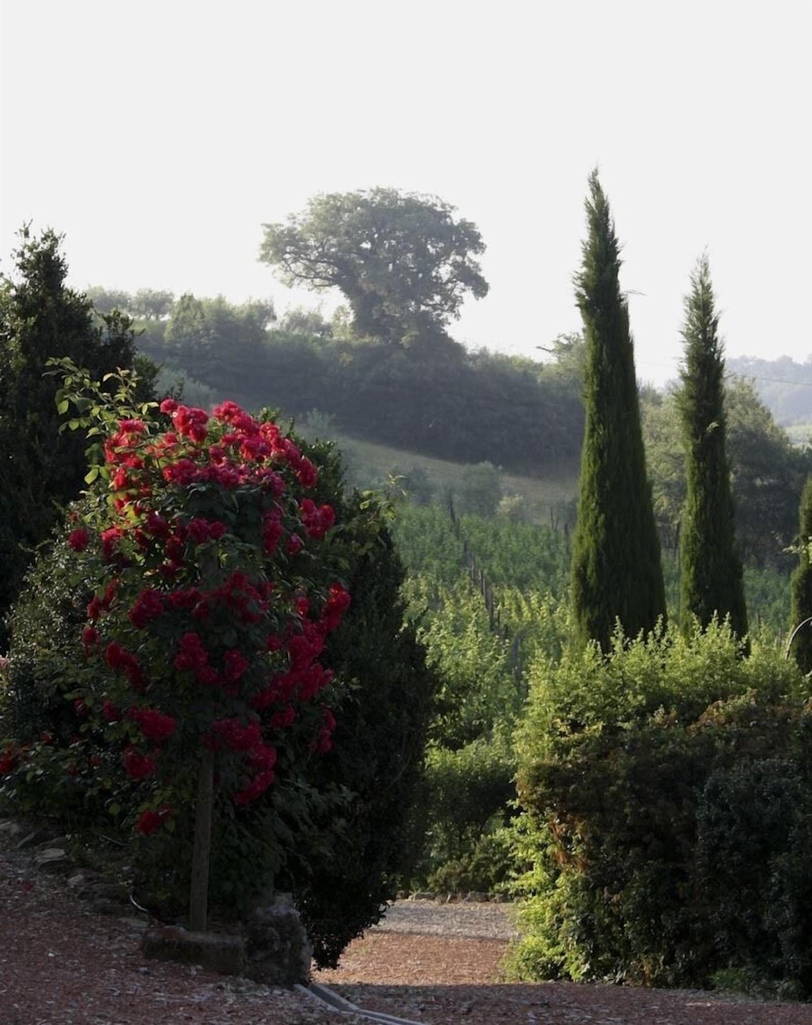 Villa Podere Della Bruciata