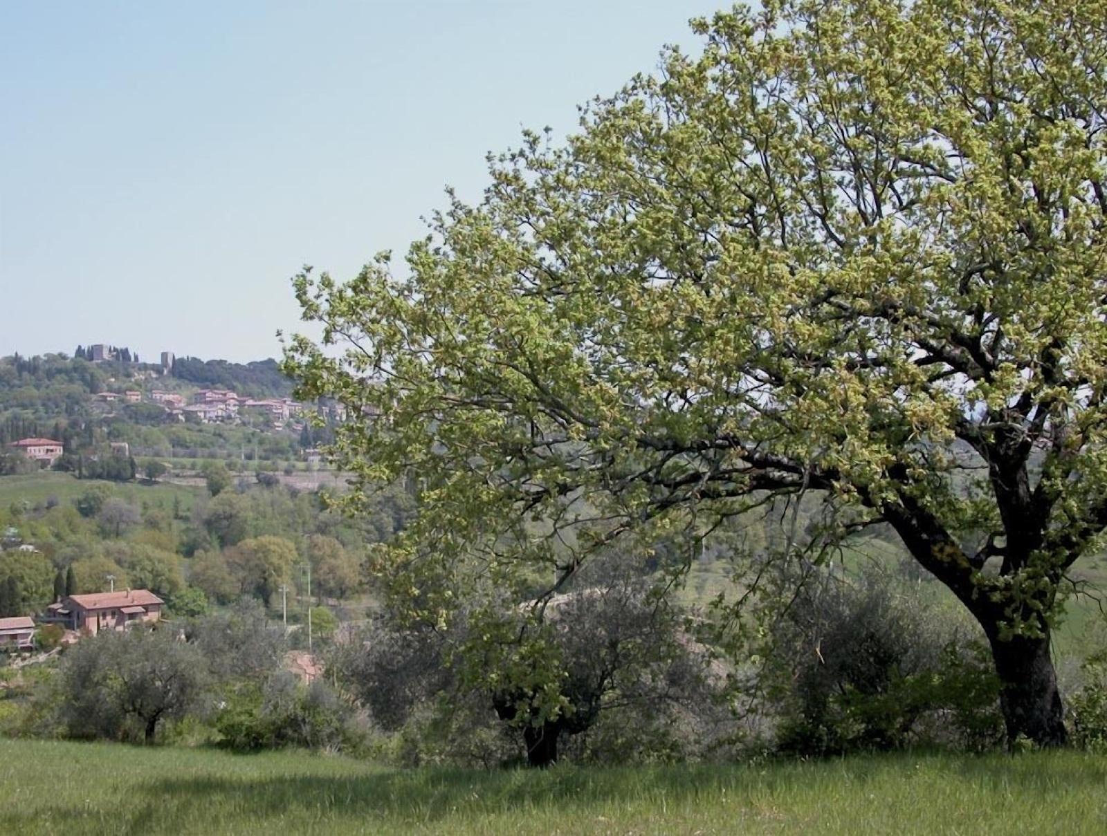 Villa Podere Della Bruciata