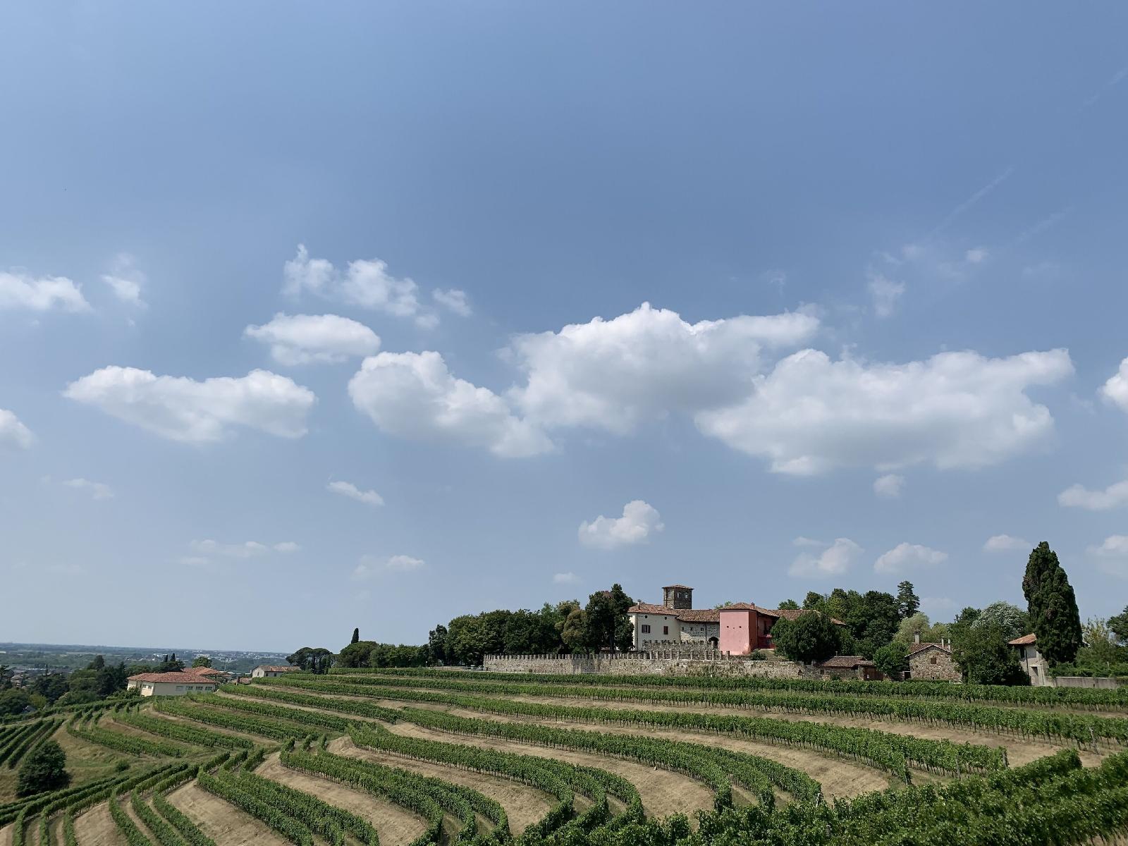 Castello Di Buttrio