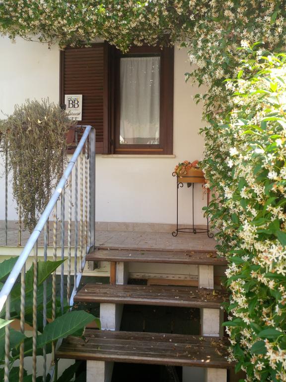 Le Musette B&B