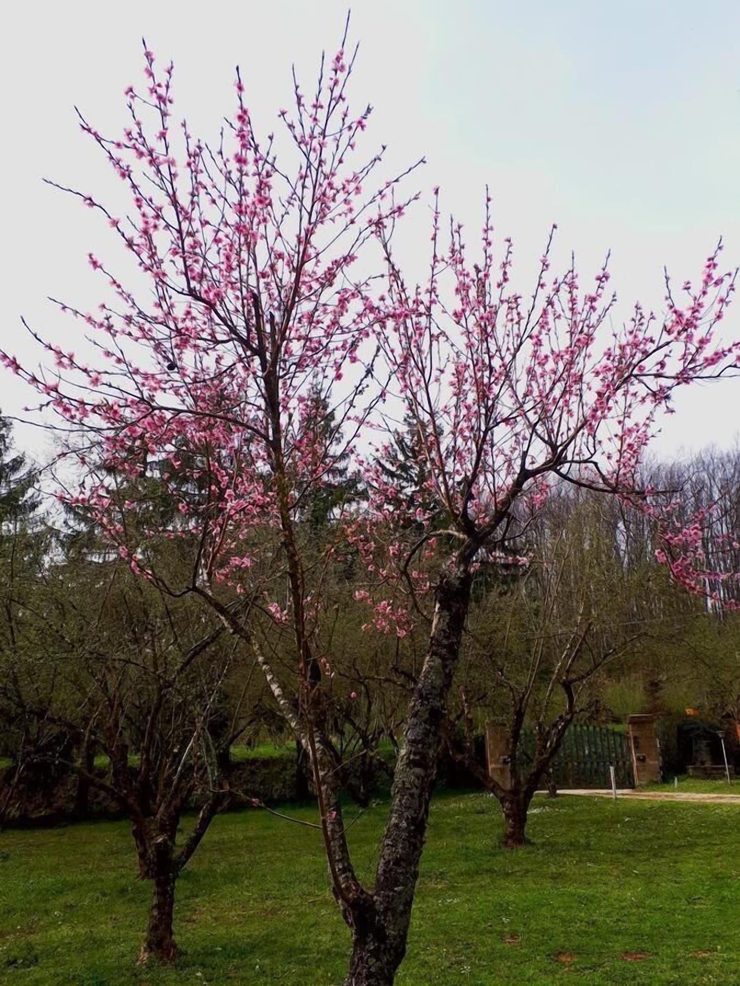 Bed And Breakfast Monticelli
