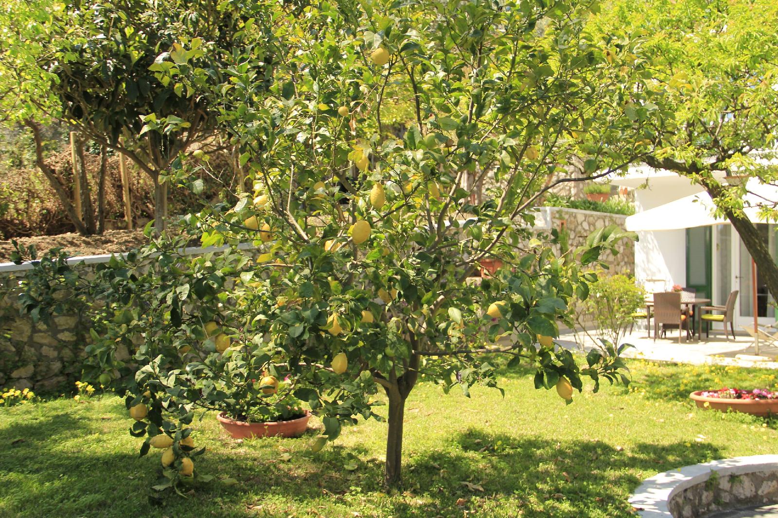 B&B Casa Augusto
