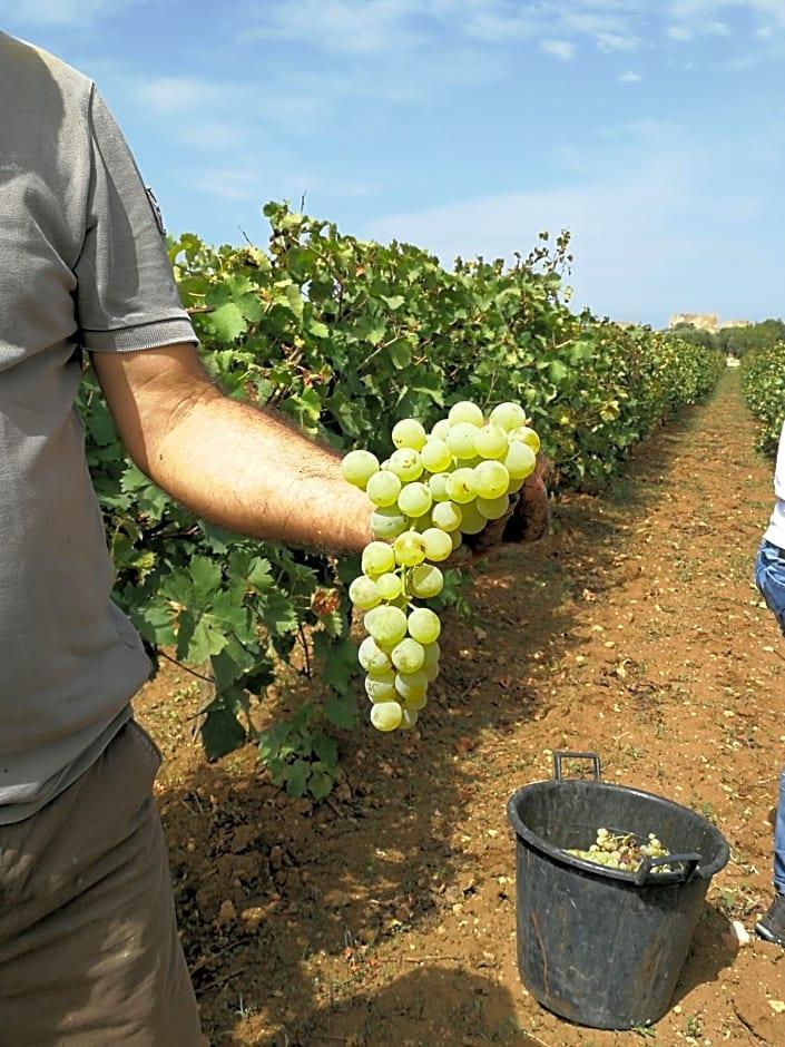 Baglio Donna Franca Wine Resort & Farm Estate