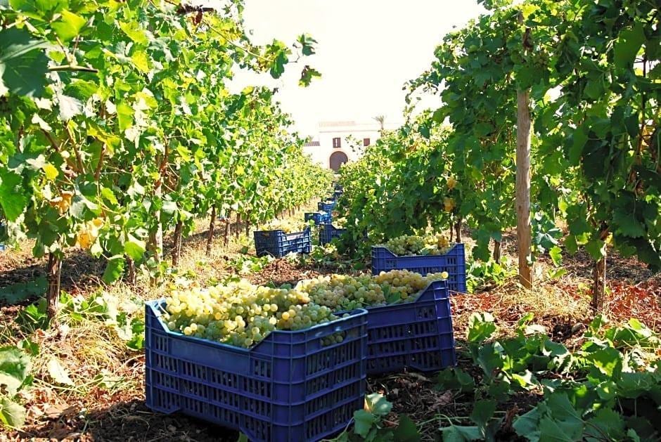 Baglio Donna Franca Wine Resort & Farm Estate