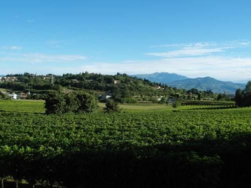 Agriturismo Corte Coraman