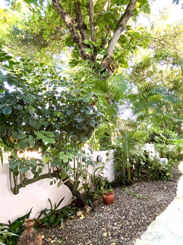 Hotel Alegria