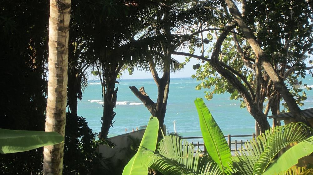 Hotel Alegria