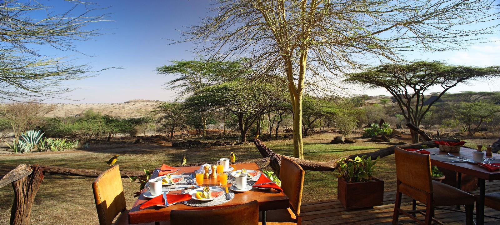 Lewa Safari Camp