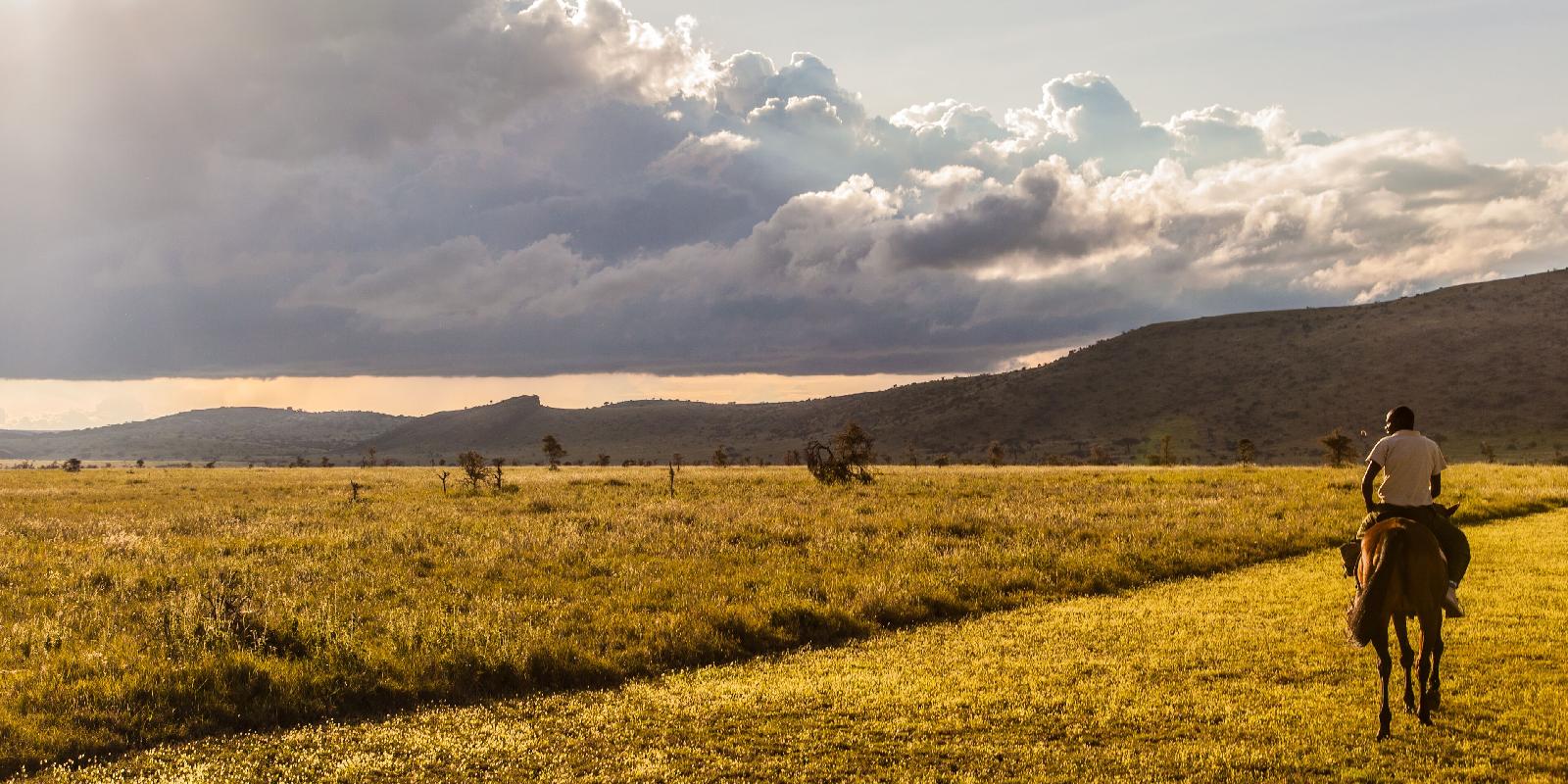 Lewa Safari Camp