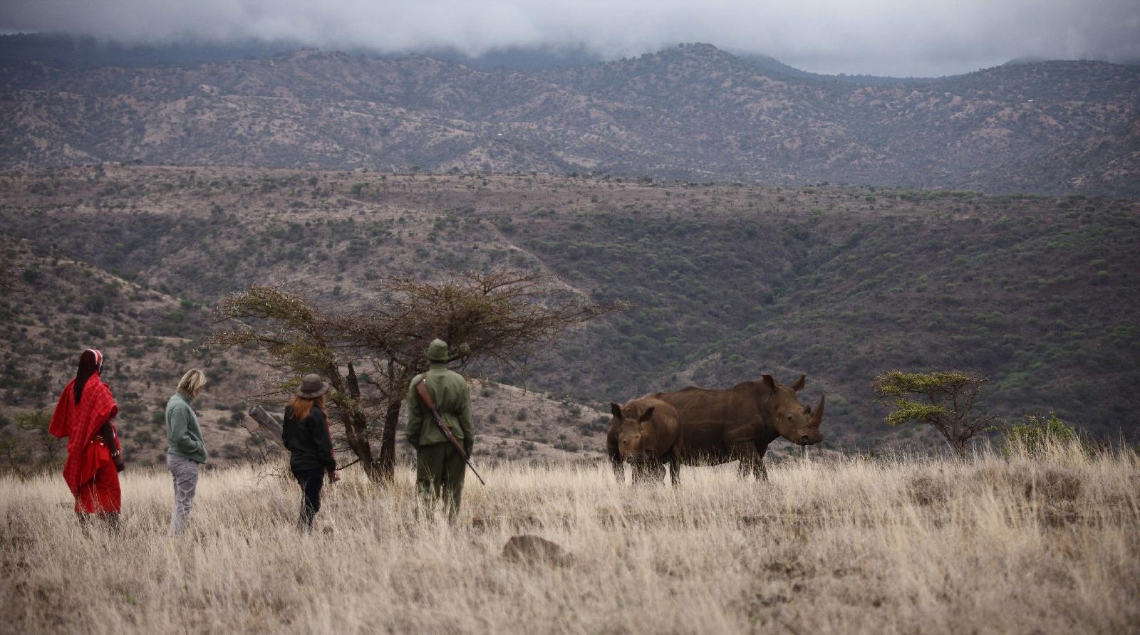 Lewa Safari Camp