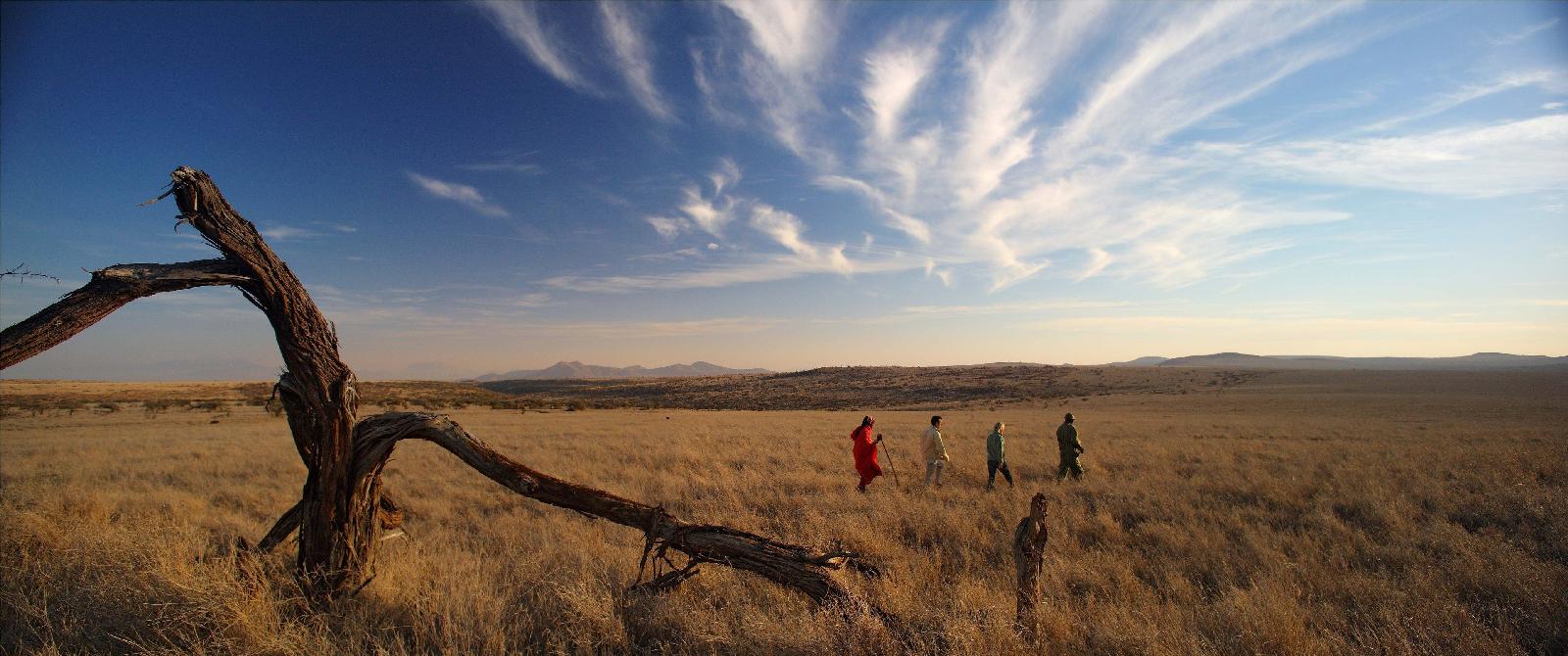 Lewa Safari Camp