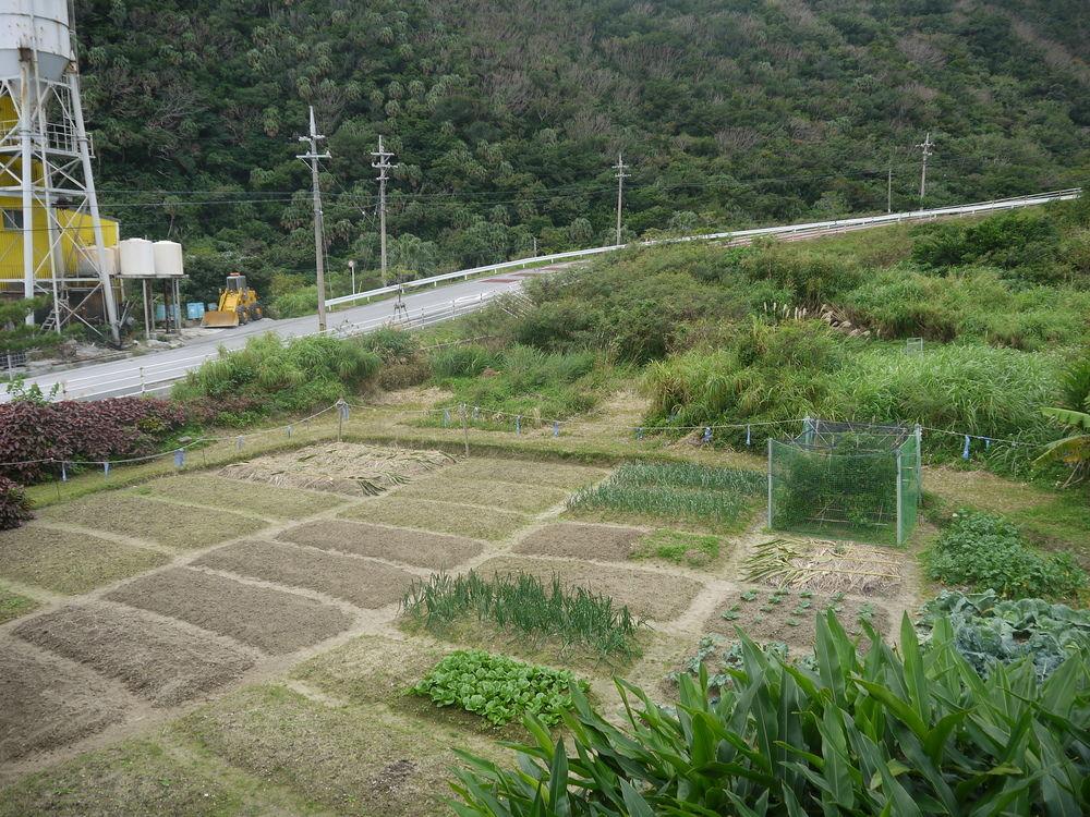 Minshuku Kariyushi