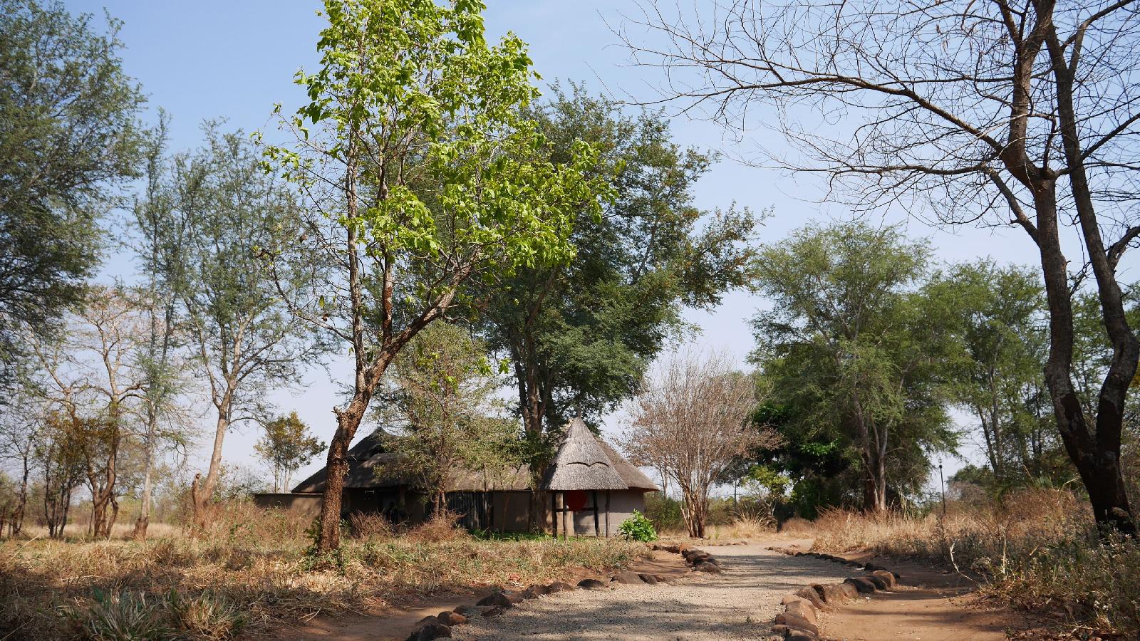 Munga Eco Lodge