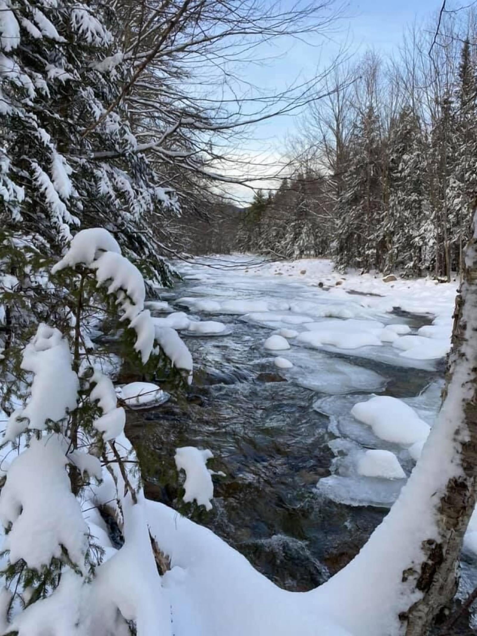 Black Bear Lodge